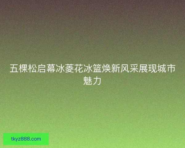 五棵松启幕冰菱花冰篮焕新风采展现城市魅力