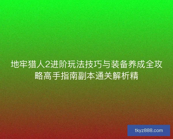 地牢猎人2进阶玩法技巧与装备养成全攻略高手指南副本通关解析精